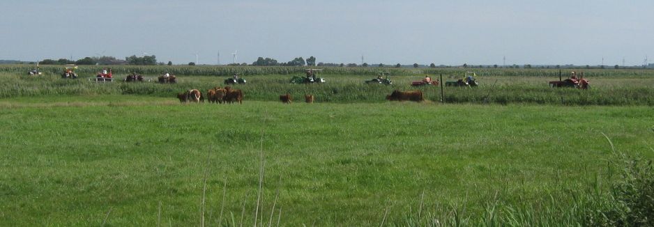 die Karavane